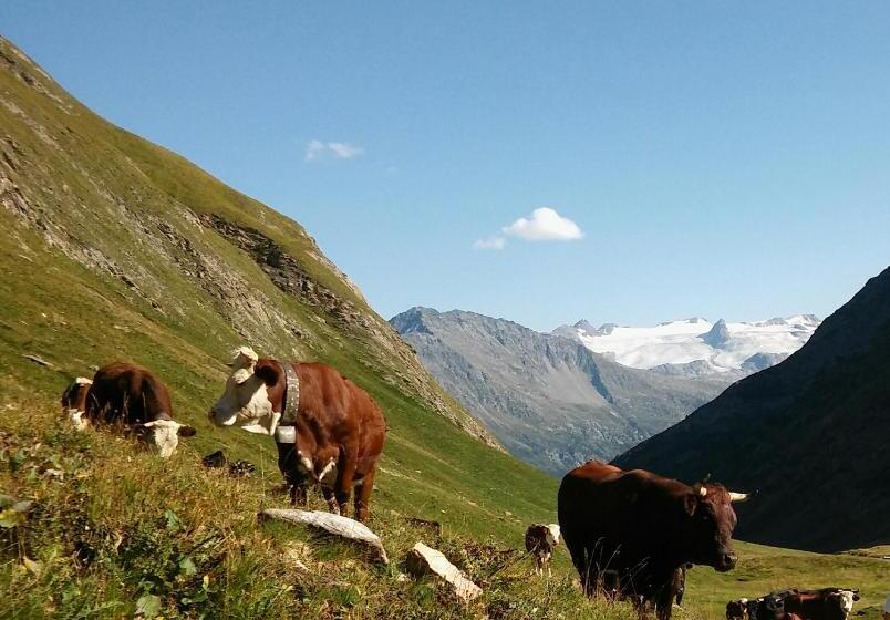 بنسيون La Barma