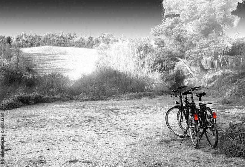 פנסיון Le Camere Di Monia Saturnia