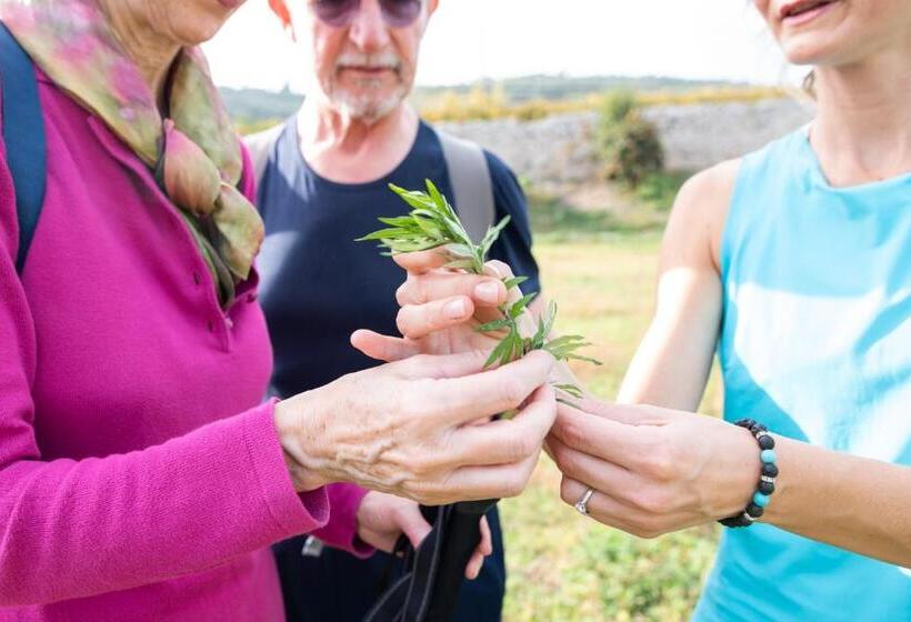 بنسيون Villa Di Cazzano  Bioluxury Living