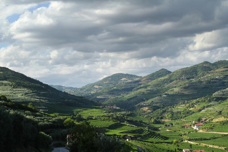 بنسيون Villa Di Cazzano  Bioluxury Living