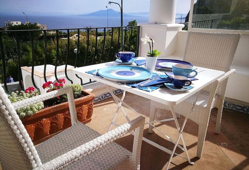 بنسيون Villa Patrizi