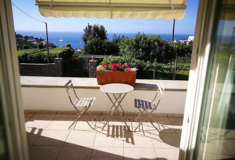 بنسيون Villa Patrizi