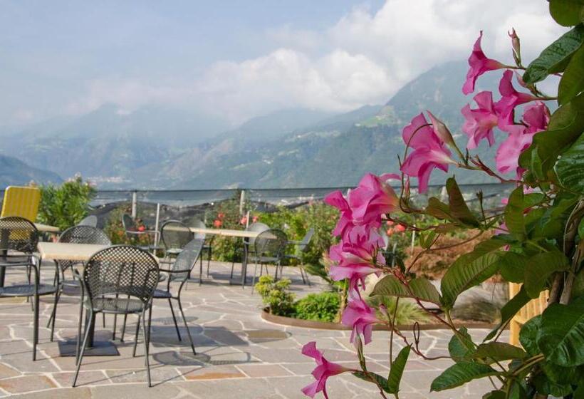 Hammele Appartements