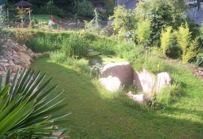 Hammele Appartements