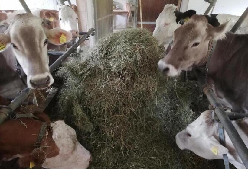 בית מלון כפרי Agritur Le Vale