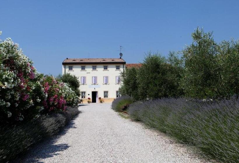 ホテル Agriturismo Casa Aurora