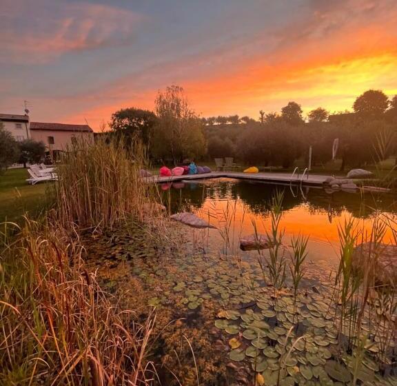 ホテル Agriturismo Casa Aurora