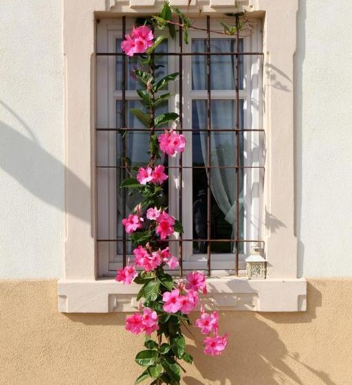 ホテル Agriturismo Casa Aurora