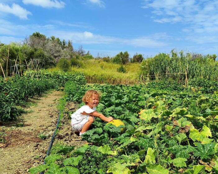 ホテル Agriturismo Le Campanelle   Sicilia   Cefalù