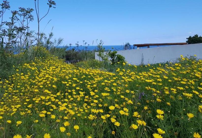 בית מלון כפרי Agriturismo Solemare