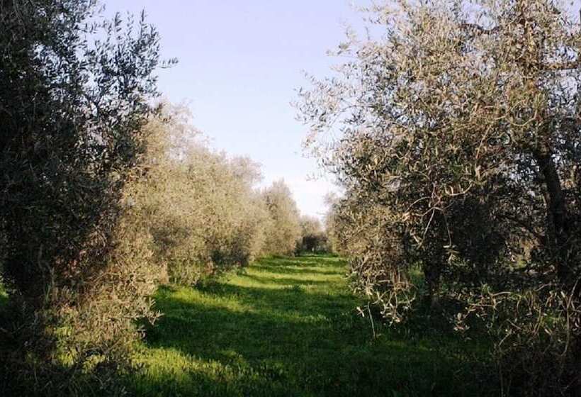 בית מלון כפרי Agriturismo Vigna Mai