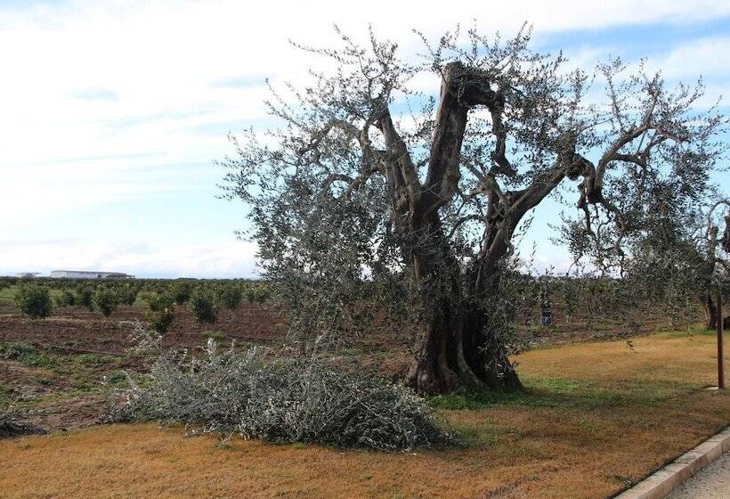 Отель Agrumare Farm Holiday