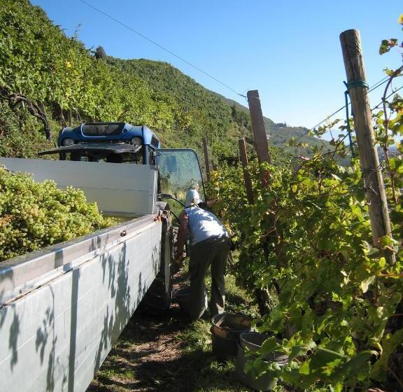 Отель Azienda Agricola Campion