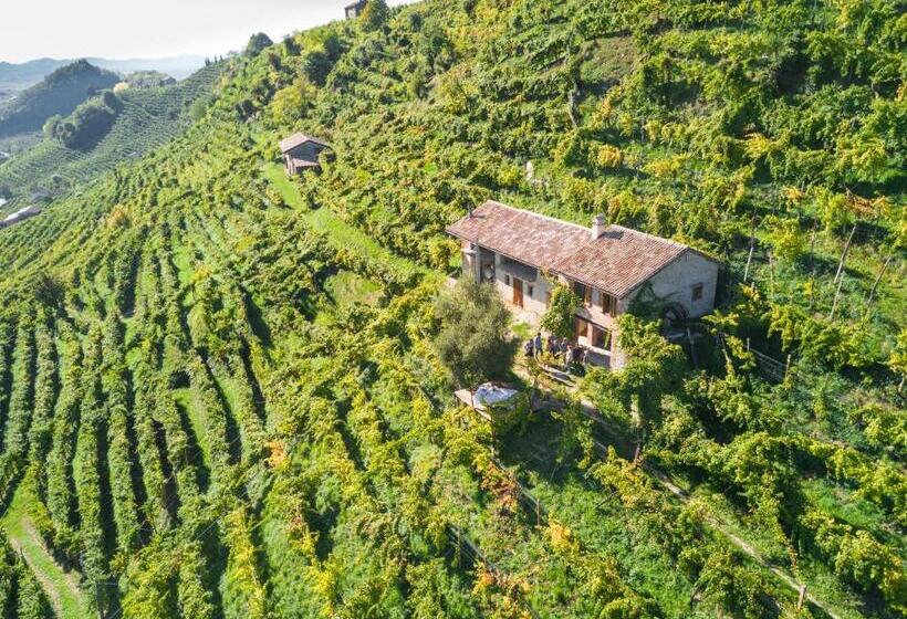 Отель Azienda Agricola Campion