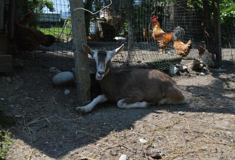 Отель Azienda Agricola Campion