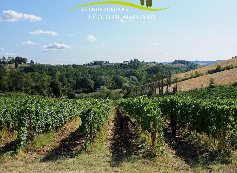 בית מלון כפרי Azienda Agricola I Colli Di Marliano