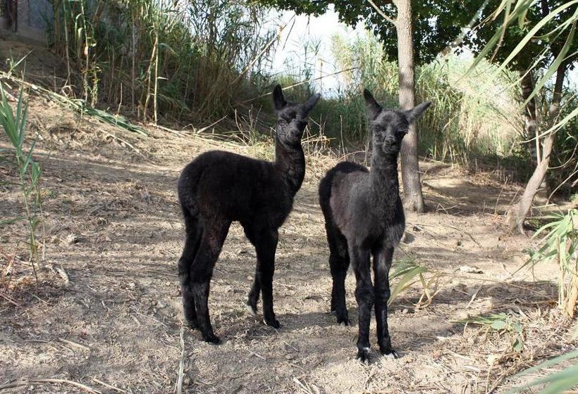 فندق Azienda Agricola I Colli Di Marliano