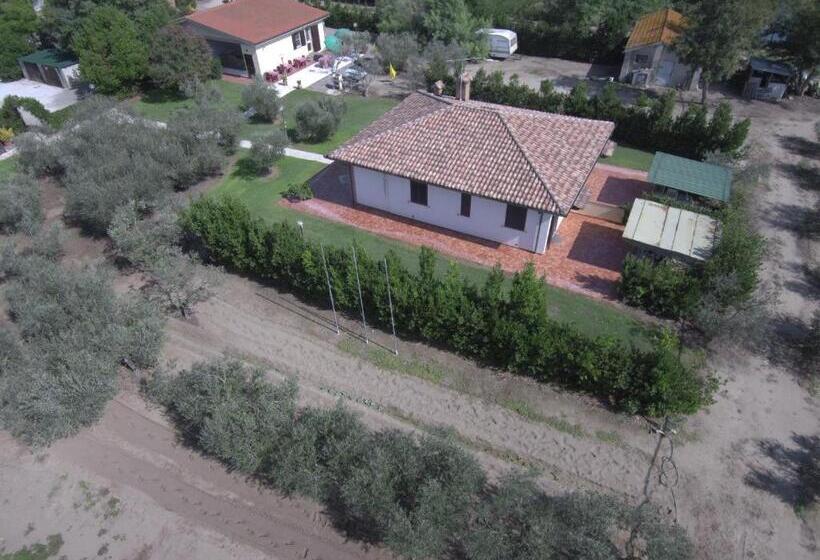 فندق Fattoria San Vincenzo