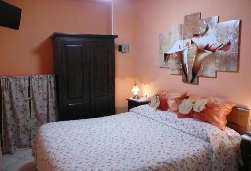 فندق Fattoria San Vincenzo