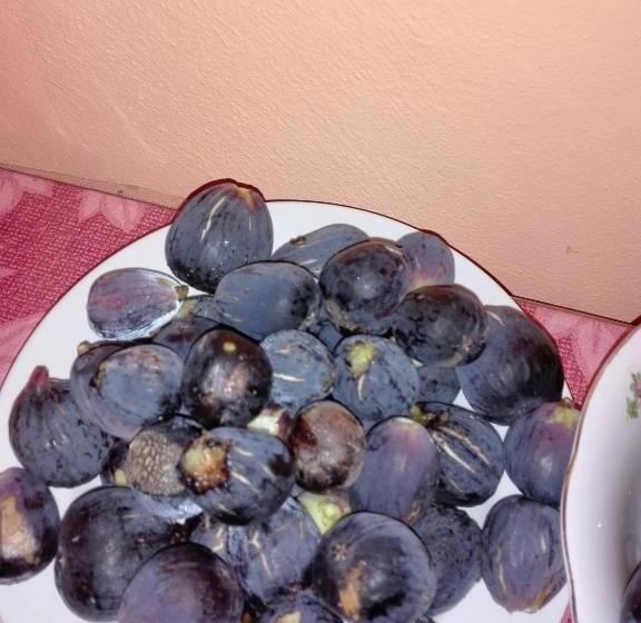 فندق Fattoria San Vincenzo