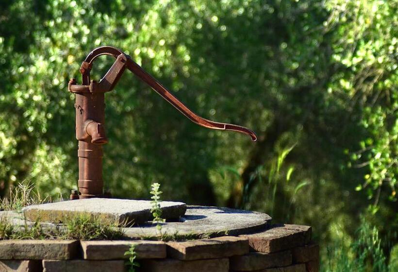 酒店 Il Collicello