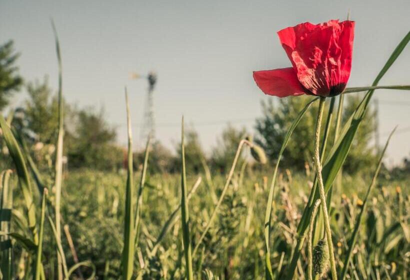 בית מלון כפרי Il Fontanile