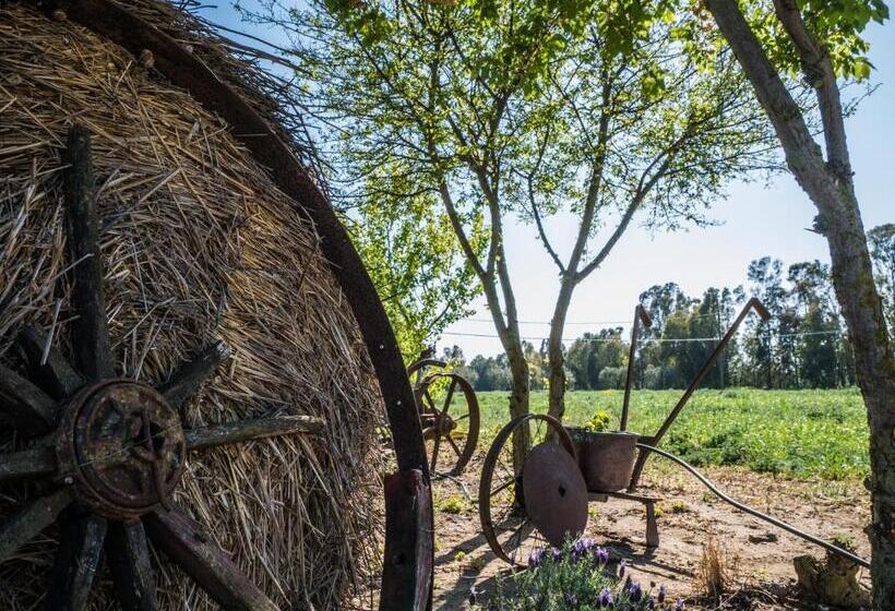 בית מלון כפרי Il Fontanile