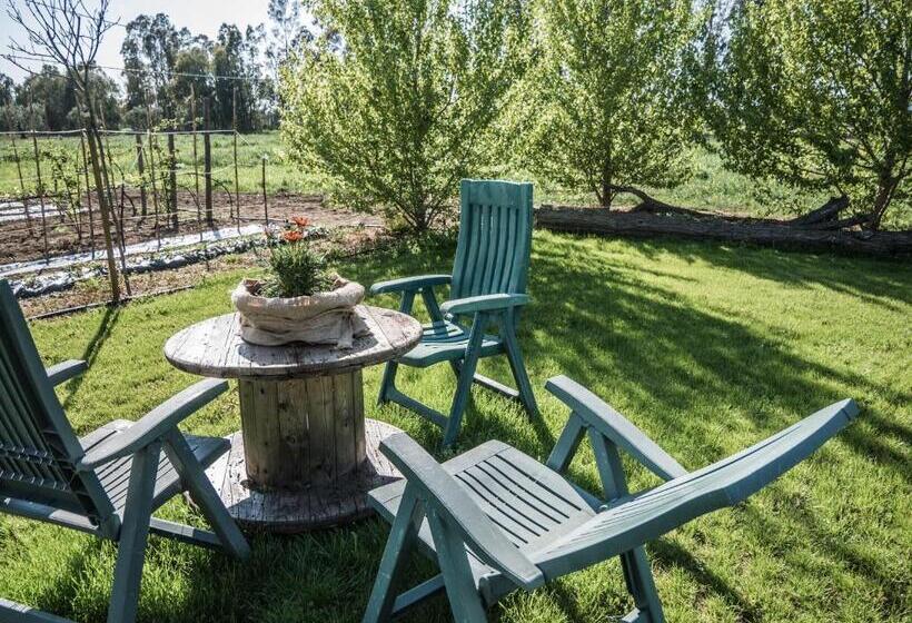 בית מלון כפרי Il Fontanile