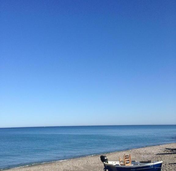 La Baia Di Nettuno Il Gatto E La Volpe