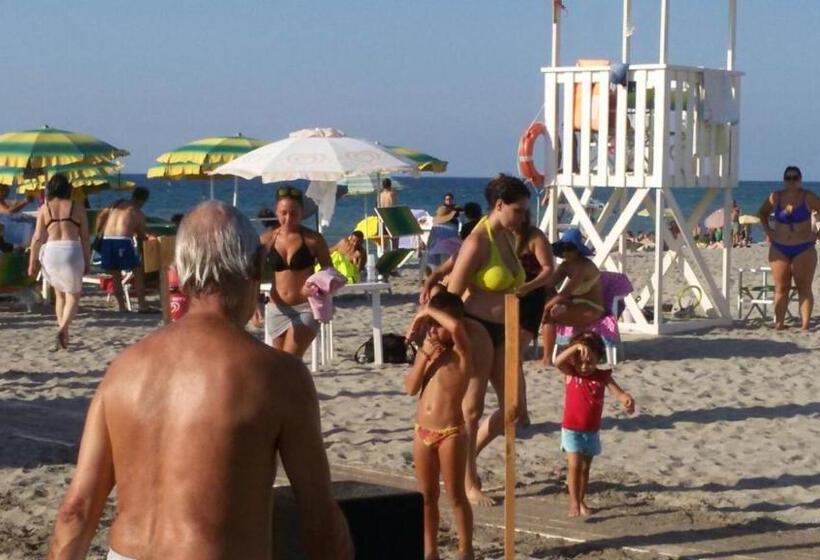 La Baia Di Nettuno Il Gatto E La Volpe