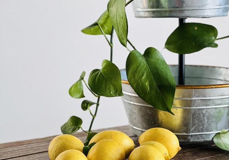 ペンション Accademia 39