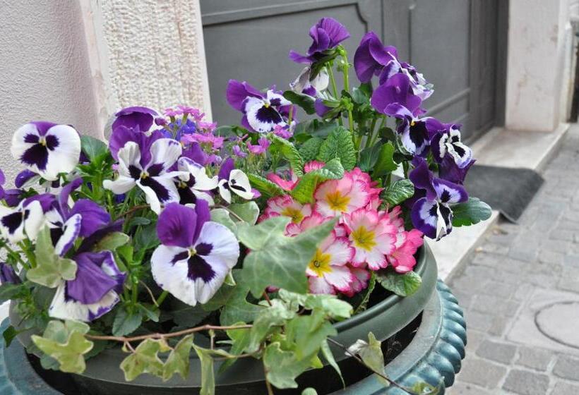 膳宿费 Bardoliners