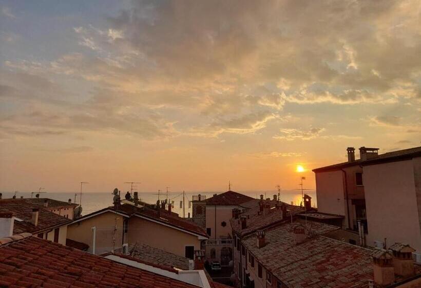 膳宿费 Bardoliners