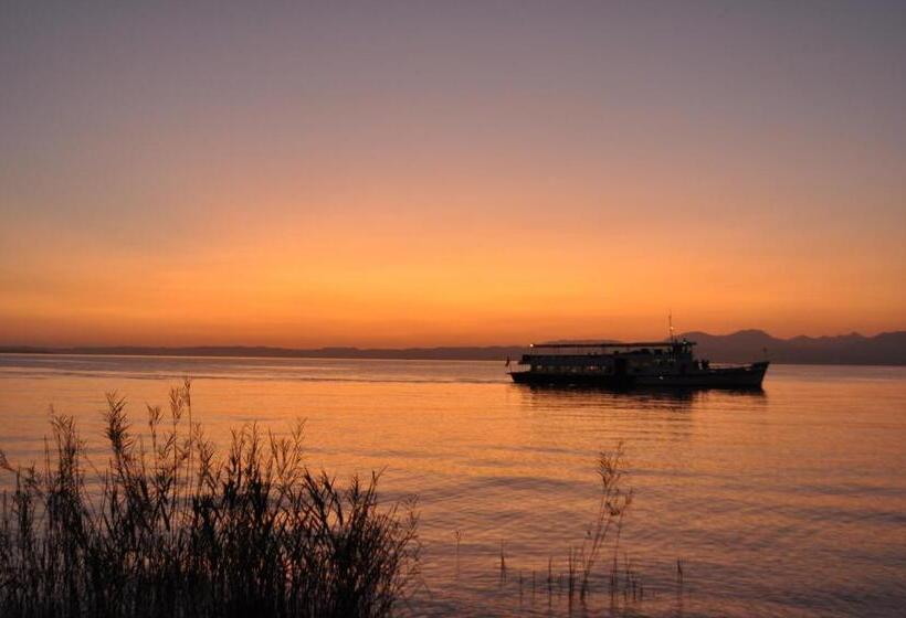 膳宿费 Bardoliners