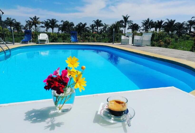 膳宿费 Villa Laura Apartment