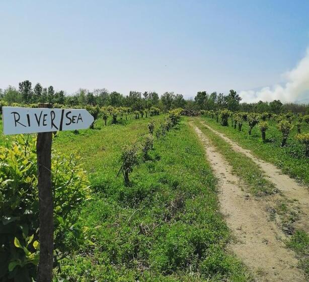 膳宿费 Villa Laura Apartment