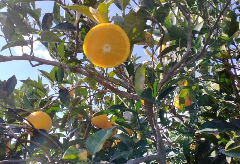 膳宿费 Villa Laura Apartment