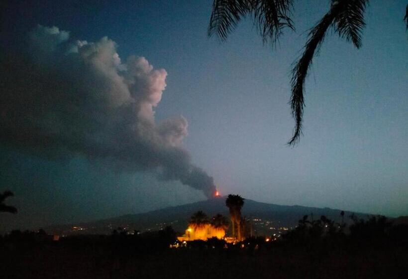 膳宿费 Villa Laura Apartment