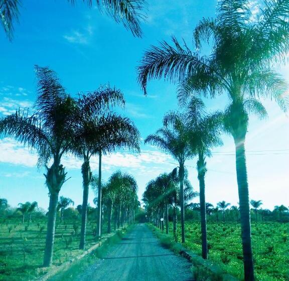 膳宿费 Villa Laura Apartment