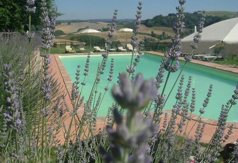 Antonella House Podere Della Collina