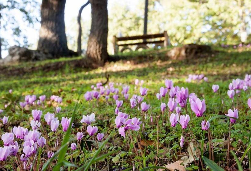 בית מלון כפרי Agriturismo Costa San Bernardo