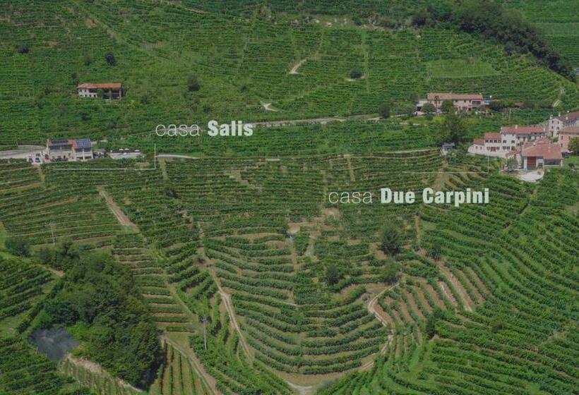 هتل Agriturismo Due Carpini