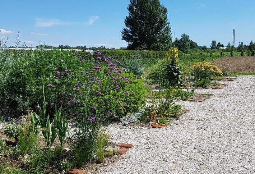 酒店 Agriturismo Frascje Dai Spadons