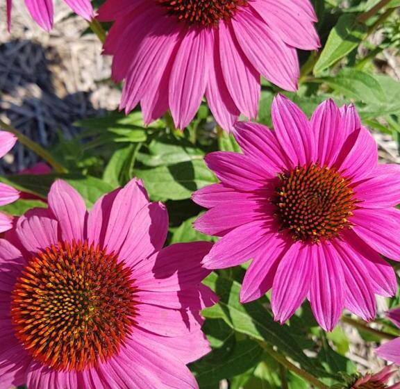 酒店 Agriturismo Frascje Dai Spadons