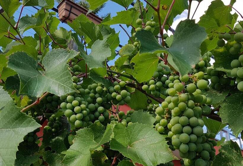 酒店 Agriturismo Frascje Dai Spadons