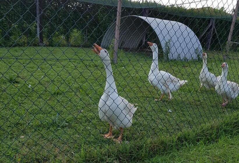 酒店 Agriturismo Frascje Dai Spadons