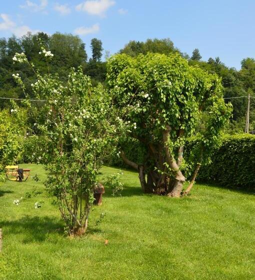 בית מלון כפרי Agriturismo Morgan