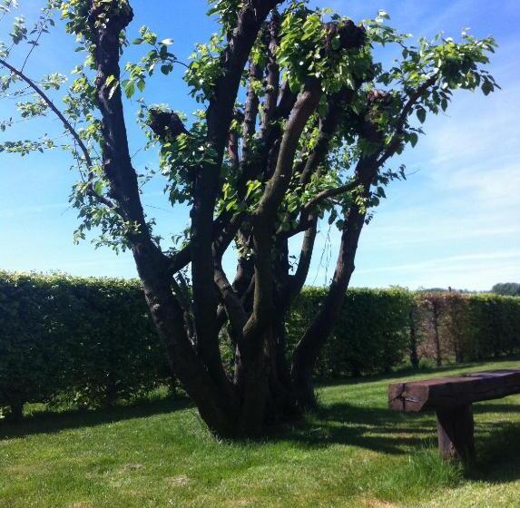 בית מלון כפרי Agriturismo Morgan