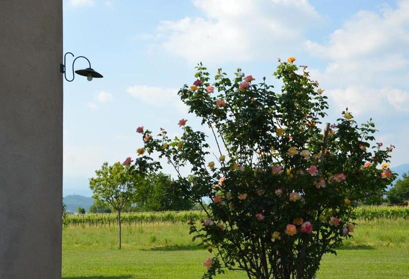 בית מלון כפרי Agriturismo Morgan