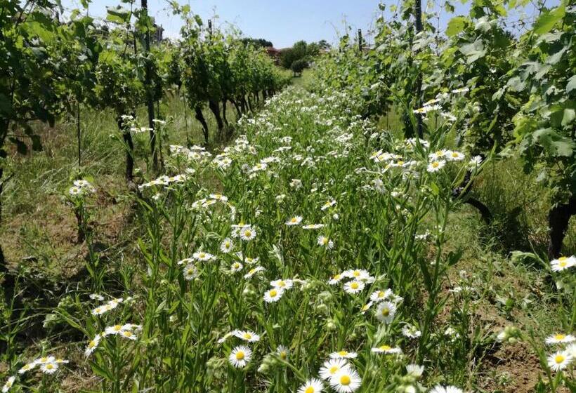 호텔 Azienda Agricola Garoglio Davide